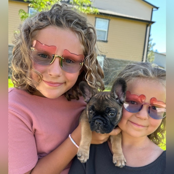 2 pair Baby or Toddler Girls Bear Sunglasses - Picture 1 of 6